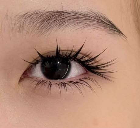 美睫与眉形眼部特写 – Noveau Beauty